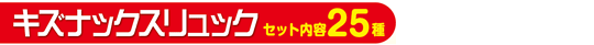 キズバックスリュック　セット25種